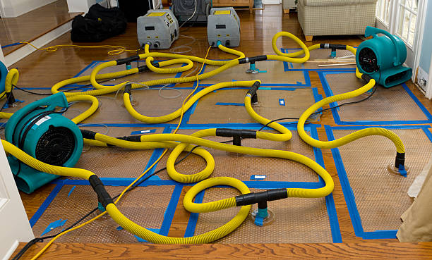Professional Sewage Cleanup technician working in Schulenburg, TX